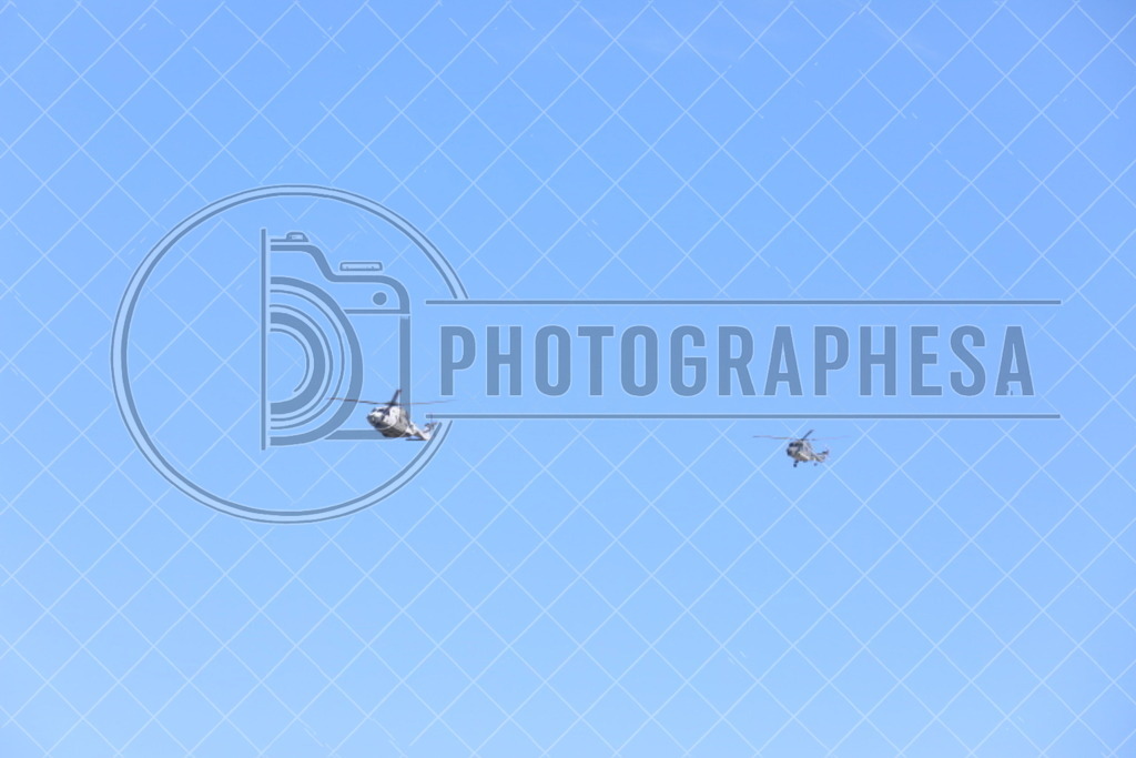 IMG_8834 | photographesa-joergens - Realisiert mit Pictrs.com