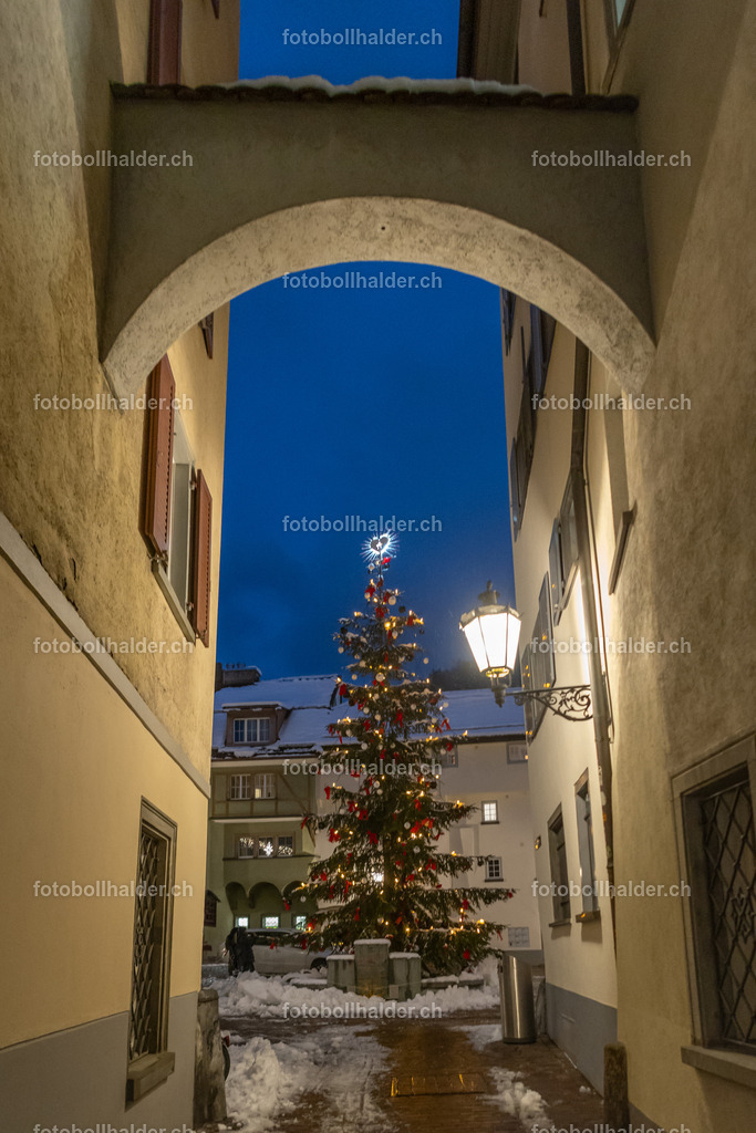 IMG_4768_1 | Foto Bollhalder 