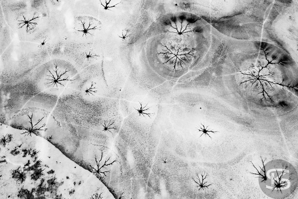 Front Side Error – Abstrakte Eislandschaften aus der Vogelperspektive | Luftaufnahmen zugefrorener Seen zwischen Abstraktion und Realität. Stefan Kuhn fotografiert aus der Vogelperspektive die schmelzenden Eisoberflächen süddeutscher Seen mit ihrer Drohne und dokumentiert die natürliche Entmaterialisierung in faszinierenden Mustern und Strukturen. - Realisiert mit Pictrs.com