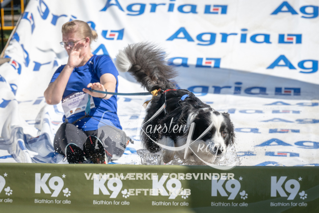 1145_ZZ93795 | kk-dogfotos