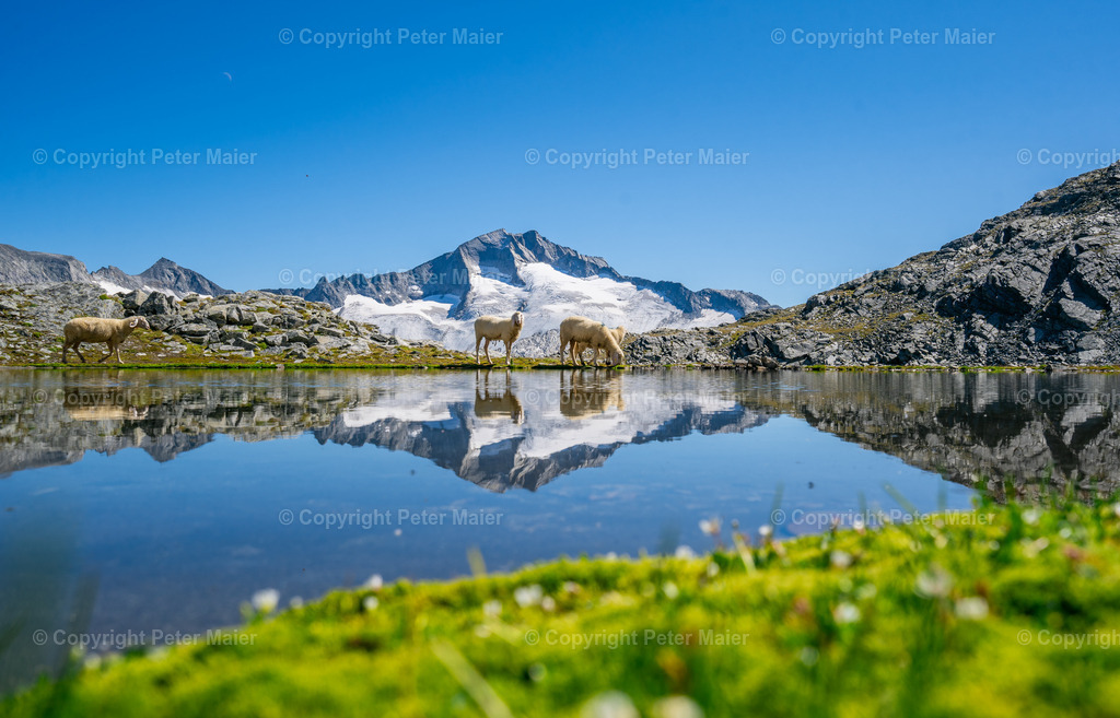 Schwarzhornsee-2454 | piet_flosse