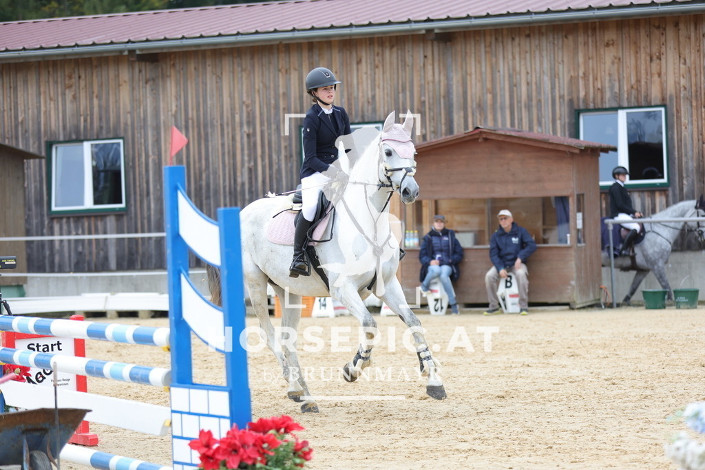 0P6A1270 | Willkommen bei Brunnmayr - Design & Fotografie – Ihrem Spezialisten für Reitturniere und Pferdeveranstaltungen in Oberösterreich, Salzburg und Bayern! Seit über 17 Jahren sind wir leidenschaftlich dabei.