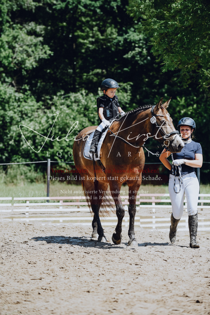 DSC_2564 | Pferde- und Turnierfotografie in Westsachsen. Pferdeportraits, Auftragszeichnungen und intuitive Kunst.