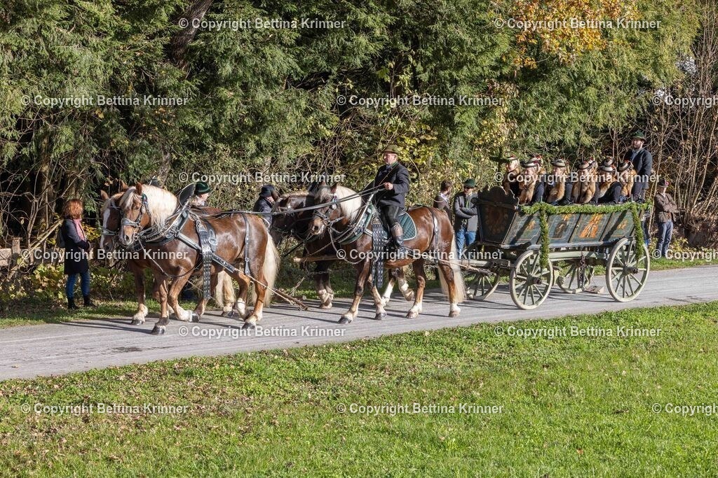 LBT24-329 | foto-bettina-krinner - Realisiert mit Pictrs.com