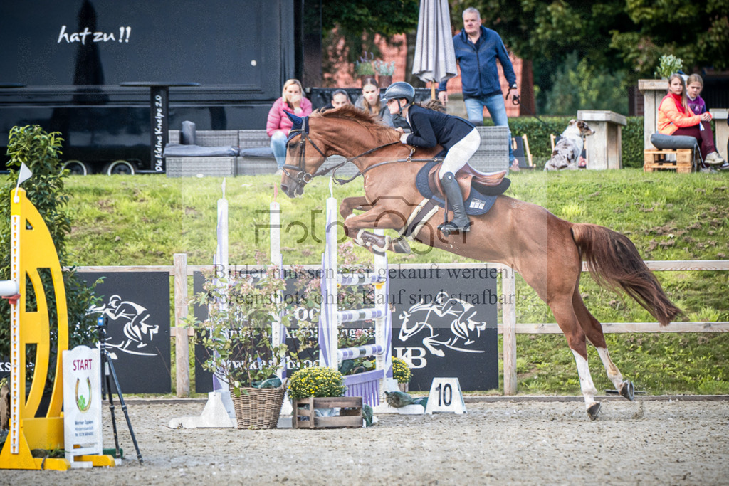 DOS_4066 | Entdecke hochwertige Reitturnierfotos von Foto Oger. Professionell, emotional und authentisch – jetzt Lieblingsmomente im Shop bestellen.Deutschlandweite Turnierfotografie. - Realisiert mit Pictrs.com