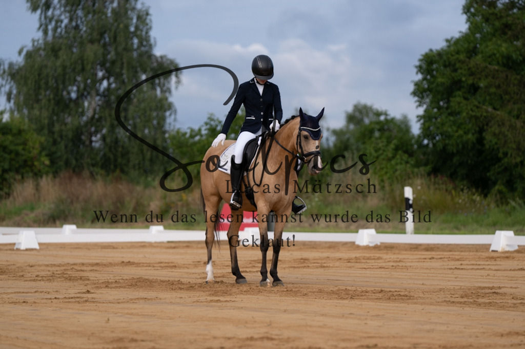 A7V05086 | Pferdefotograf