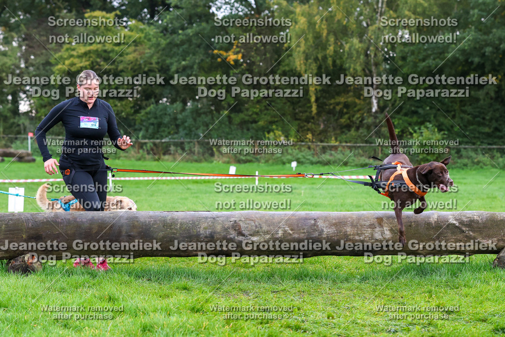 Dog Paparazzi -  SD1026-2054 | Dog Paparazzi Jeanette Grottendiek Fotografie & Videografie - Realisiert mit Pictrs.com
