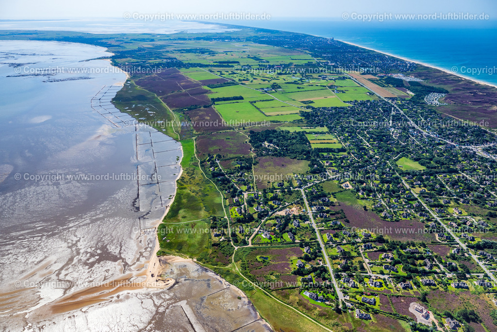 Sylt_Kampen_Wattstrand_ELS_9211130825 | KAMPEN (SYLT) 13.08.2025 Heidelandschaft an der Wattenmeerseite in Kampen (Sylt) im Bundesland Schleswig-Holstein, Deutschland. // Heathland on the Wadden Sea side in Kampen (Sylt) in the federal state of Schleswig-Holstein, Germany. Foto: Martin Elsen