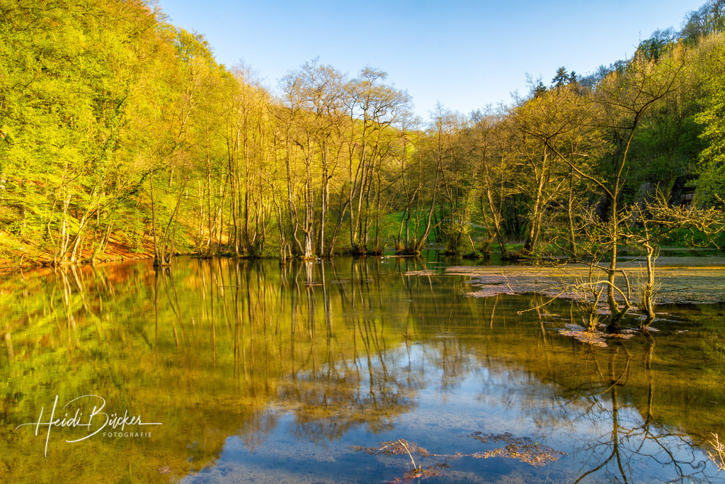 Almequellen bei Brilon | Almequellen bei Brilon - Realisiert mit Pictrs.com