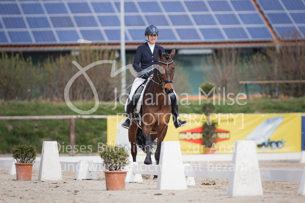 230410_Frühlingsfest_DressurWBE1-214 | Deine schönsten Turniermomente als professionelle Fotos! Entdecke hochwertige Pferdesport-Fotografie im Online-Shop. Jetzt Fotos finden & bestellen!