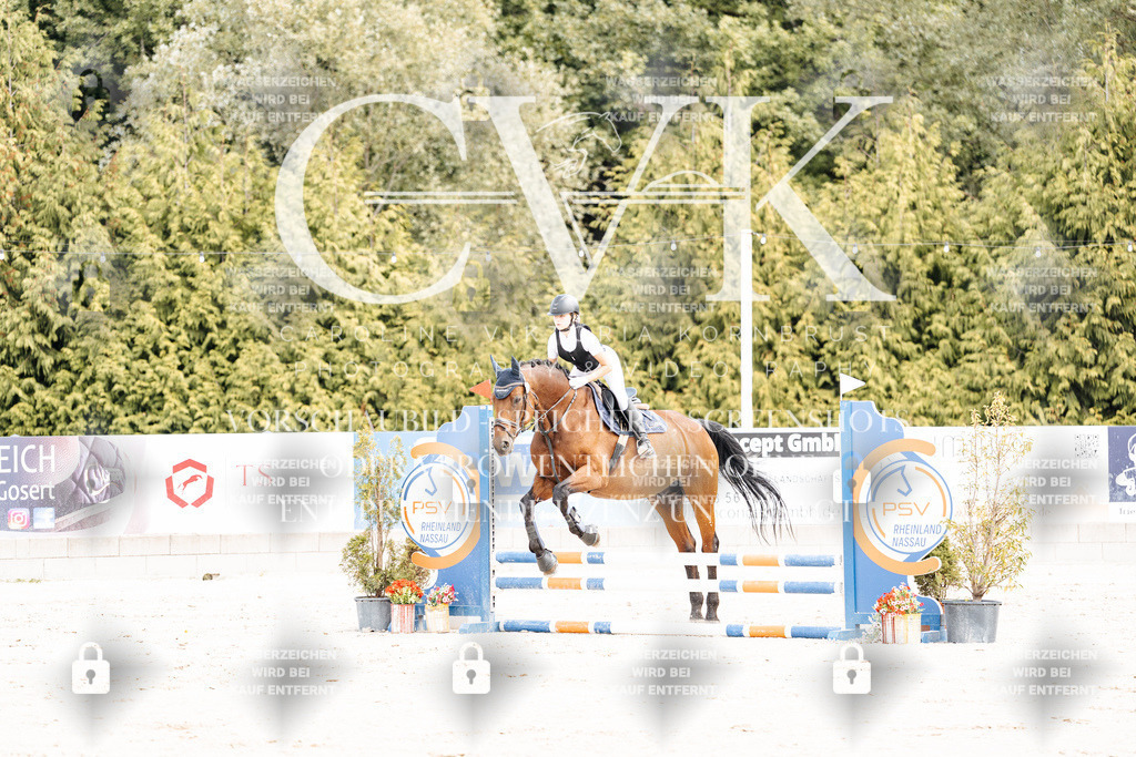 CK906268 | Turnierfotografie Pferdefotografie Trier Rheinland-Pfalz Pferdesport Reitsport Tierfotografie Sportfotografie Pferdevideo Pferdevideografie Equestrianvideography equestrianphotography  - Realisiert mit Pictrs.com