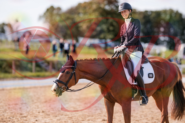 2026_10_03_Siefer-Hof_133323_Z81_92191360 | Professionelle Reitsport-, Turnier- und Eventfotografie von Robert Broda. Galerien mit ausgewählten und bearbeiteten Bildern direkt online ansehen und bestellen.