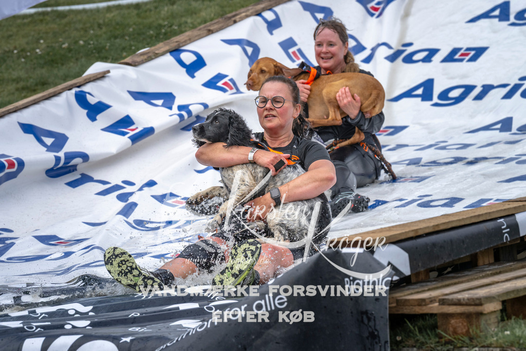 1141_ZZ93481 | kk-dogfotos