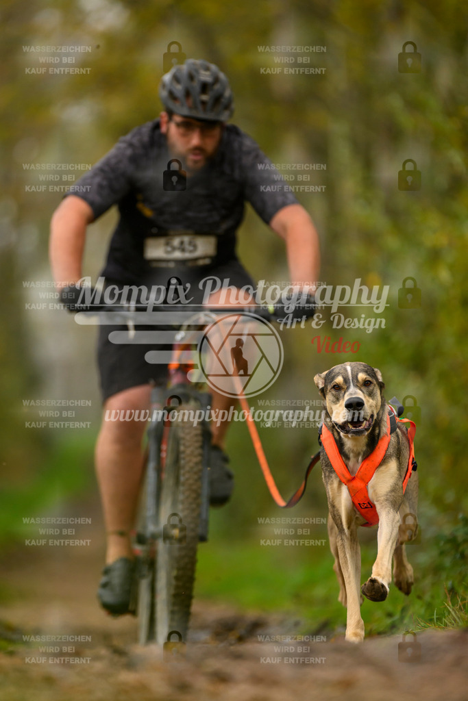 MompixPhotography_20TSB_E6_Bike-102 | PayLife