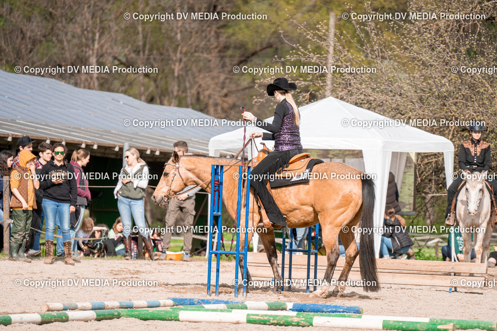 BAL02708 | dv-media-shop - Realisiert mit Pictrs.com