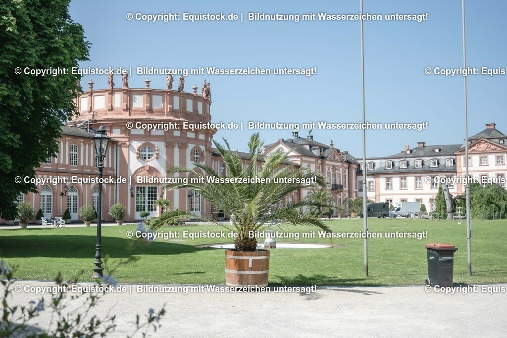 ZFC_3970 | equistock