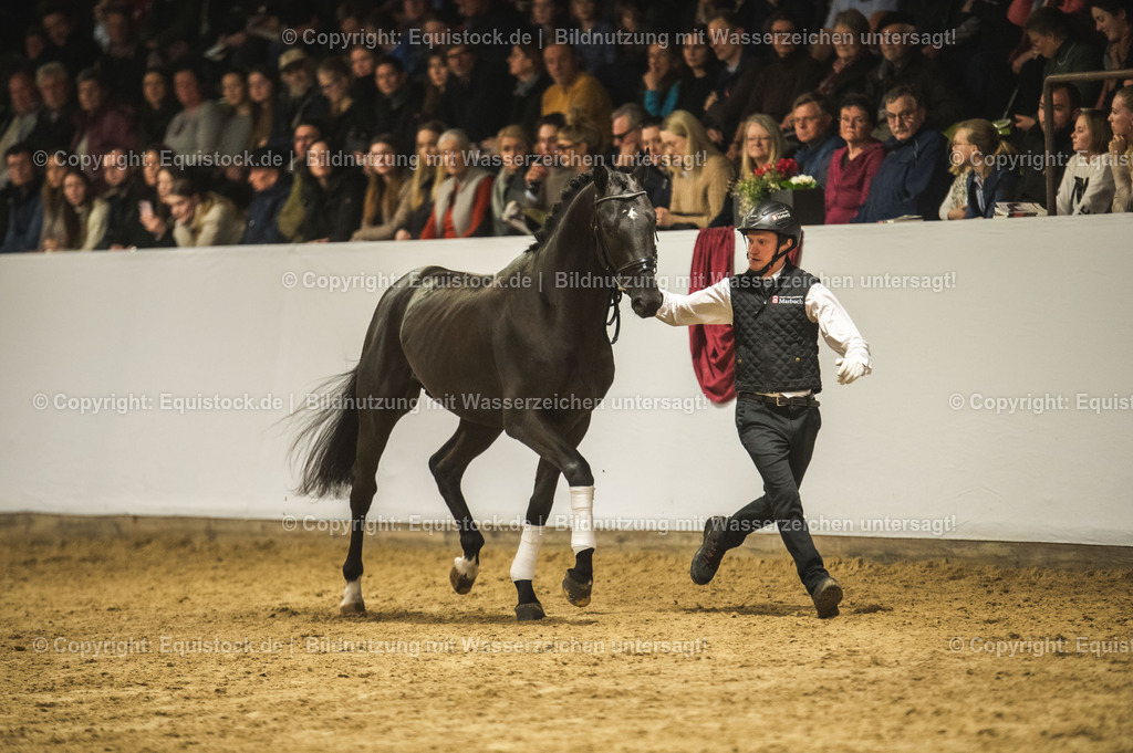 20240302_Hengstvorstellung_Marbach_TOMsPiC_1277 | equistock