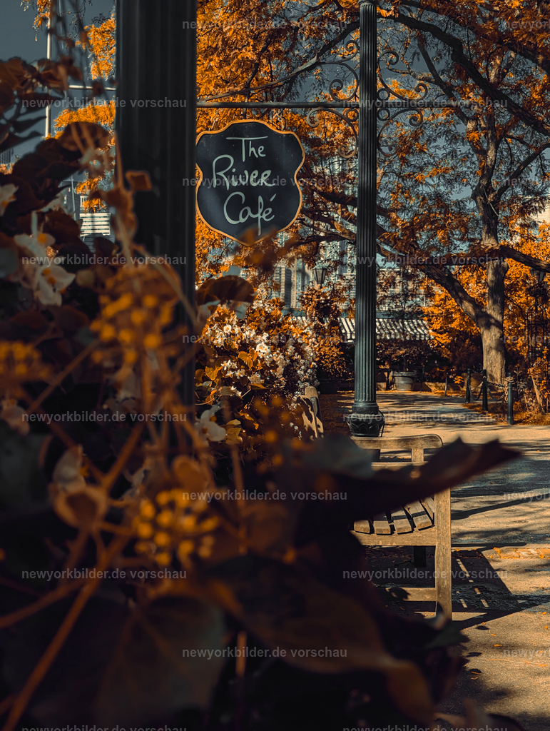 Herbstzauber am River Café – Malerische Kulisse in Brooklyn mit goldenen Farben | Das River Café ist eine Institution in New York – ein Ort, der für kulinarische Exzellenz und eine unvergleichliche Lage steht. Im Herbst verwandelt sich die Umgebung in ein malerisches Farbspiel: goldene Blätter, warme Sonnenstrahlen und die sanfte Brise des East River. Dieses Bild zeigt das berühmte Schild des River Cafés, eingerahmt von üppigen Pflanzen, die in den Farben der Saison leuchten. Die Szene strahlt Ruhe und Eleganz aus, während im Hintergrund die Skyline von Manhattan zum Greifen nah scheint. Ein Spaziergang hier ist ein Erlebnis für alle Sinne – die Kombination aus Natur, Architektur und der ikonischen Lage unter der Brooklyn Bridge macht diesen Ort einzigartig. 