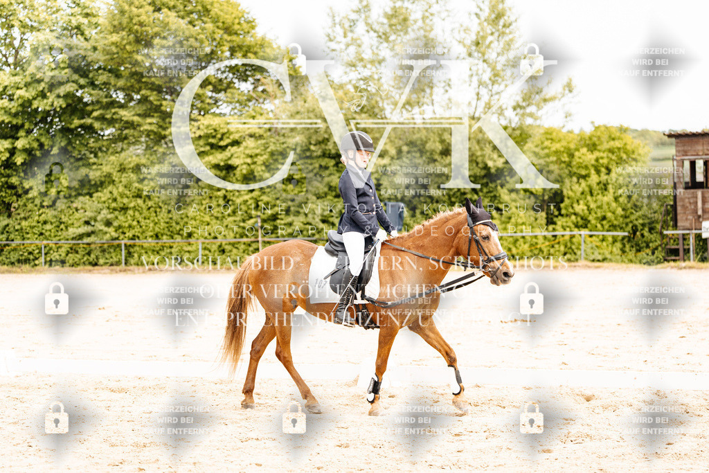 CK904442 | Turnierfotografie Pferdefotografie Trier Rheinland-Pfalz Pferdesport Reitsport Tierfotografie Sportfotografie Pferdevideo Pferdevideografie Equestrianvideography equestrianphotography  - Realisiert mit Pictrs.com