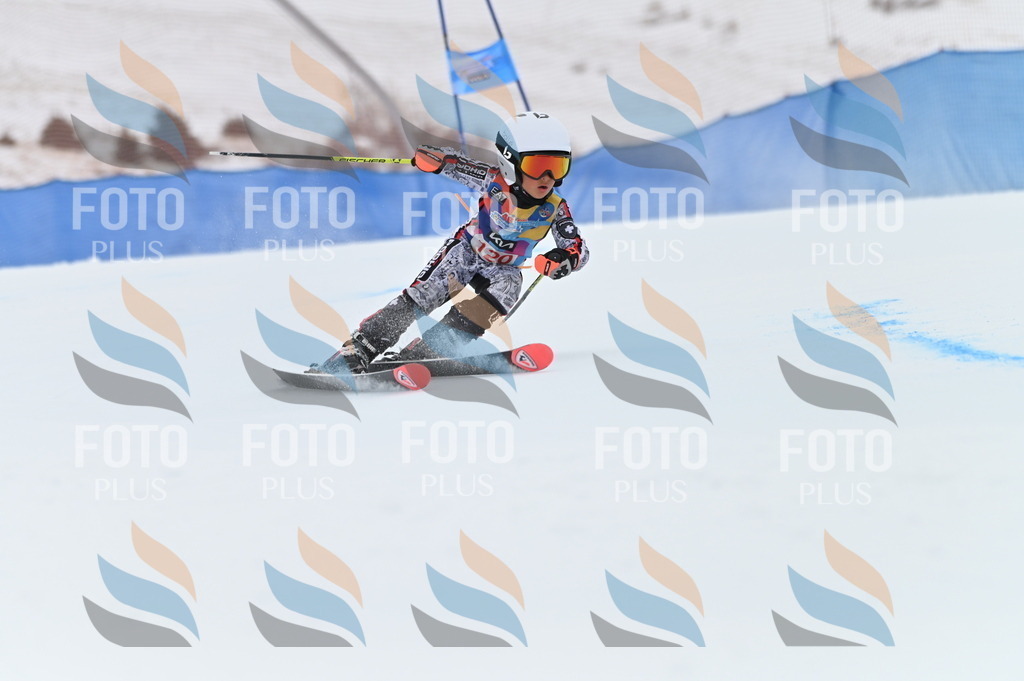 BGV_9845 | holidayphoto