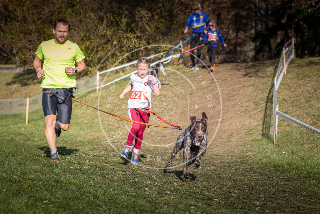 CaniXpix_0L8A8682 | Hundefotografie, Tierfotograf, Pfotenfotografie, Fotoshooting Hund, Hunde Portrait, Hundesport, Hundeportraits, Heideshooting, Hunde, Sportfotograf, Hundefotograf, Turnierhundsport, THS,  - Realisiert mit Pictrs.com