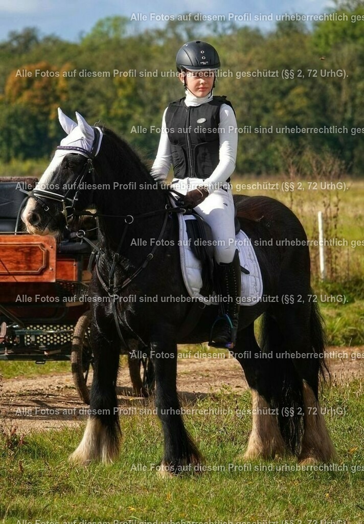 a7395db759b7555f76c2400137752cd4 | krollfotografie - Realisiert mit Pictrs.com