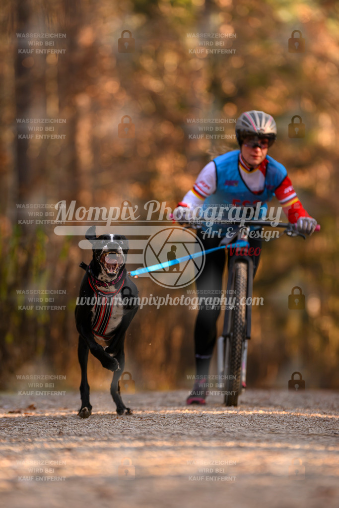 MompixPhotography_DM_AKDM_SO_2025_Scooter-109 | PayLife