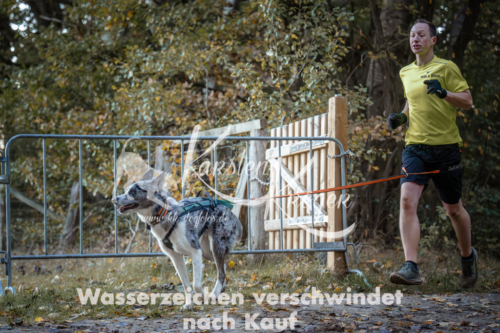 0812_ZZ93940 | kk-dogfotos