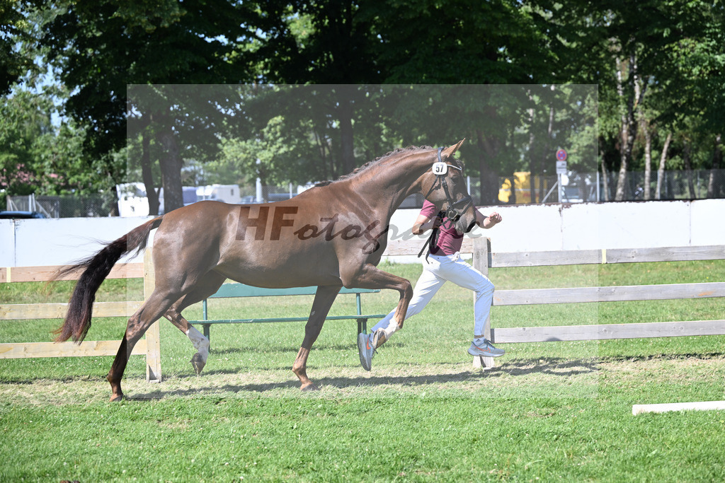 Kat-Nr. 57 Thalya W v. Va Bene_Winklmaier_19251072 | hf-fotografie - Realizzato con Pictrs.com
