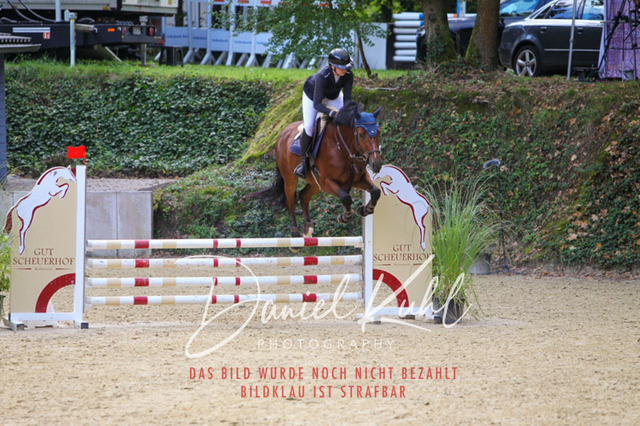 DKP40556 | Turniersportfotografie; Pferdefotografie; Dressurfotografie