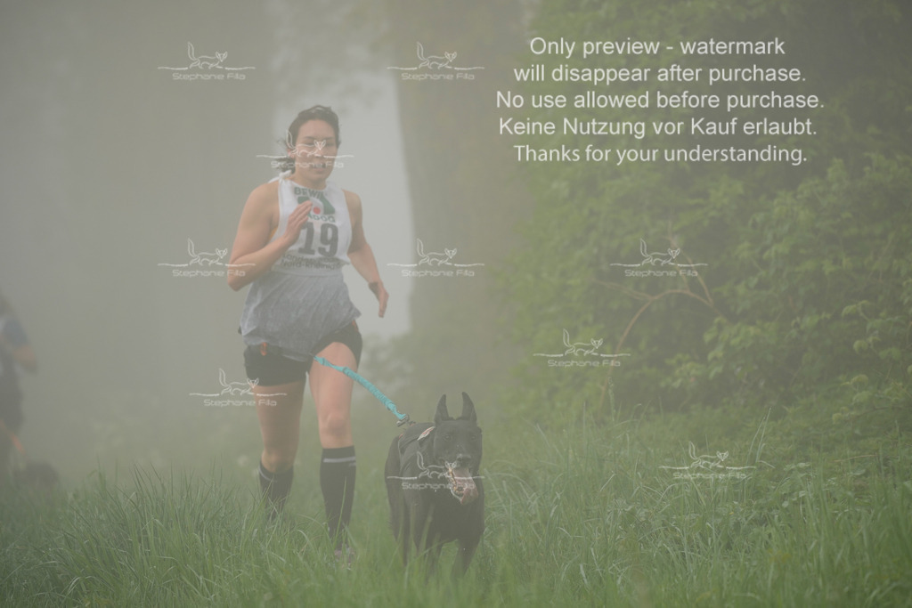 SA_GL2-103 | stephaniefillaphotographie - Realisiert mit Pictrs.com