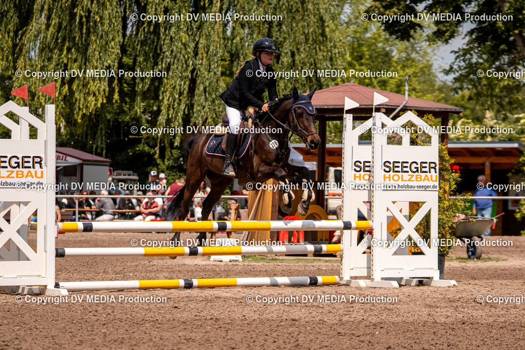 Eppelheim Tag 3-495 | dv-media-shop - Realisiert mit Pictrs.com