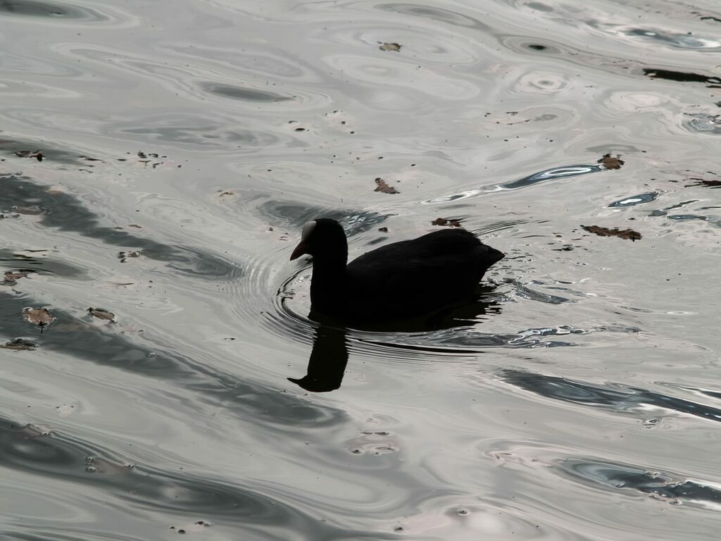 PSX_20221023_205128 | mtkfoto_ - Realisiert mit Pictrs.com