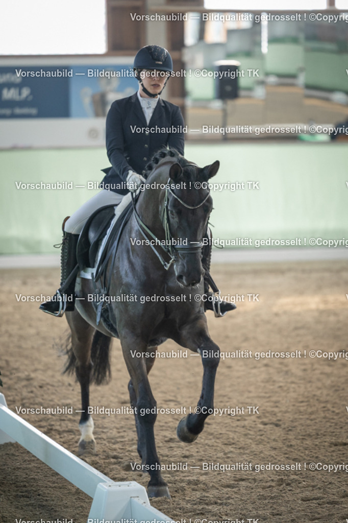 _D5A4147 | Emotionale Pferde- & People-Fotografie rund um Heidelberg, Leimen & Umgebung. Natürliche Fotos von Pferd, Mensch & Familie. Jetzt Termin sichern!