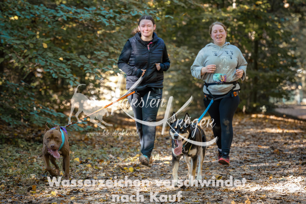 1114_ZZ91848 | kk-dogfotos