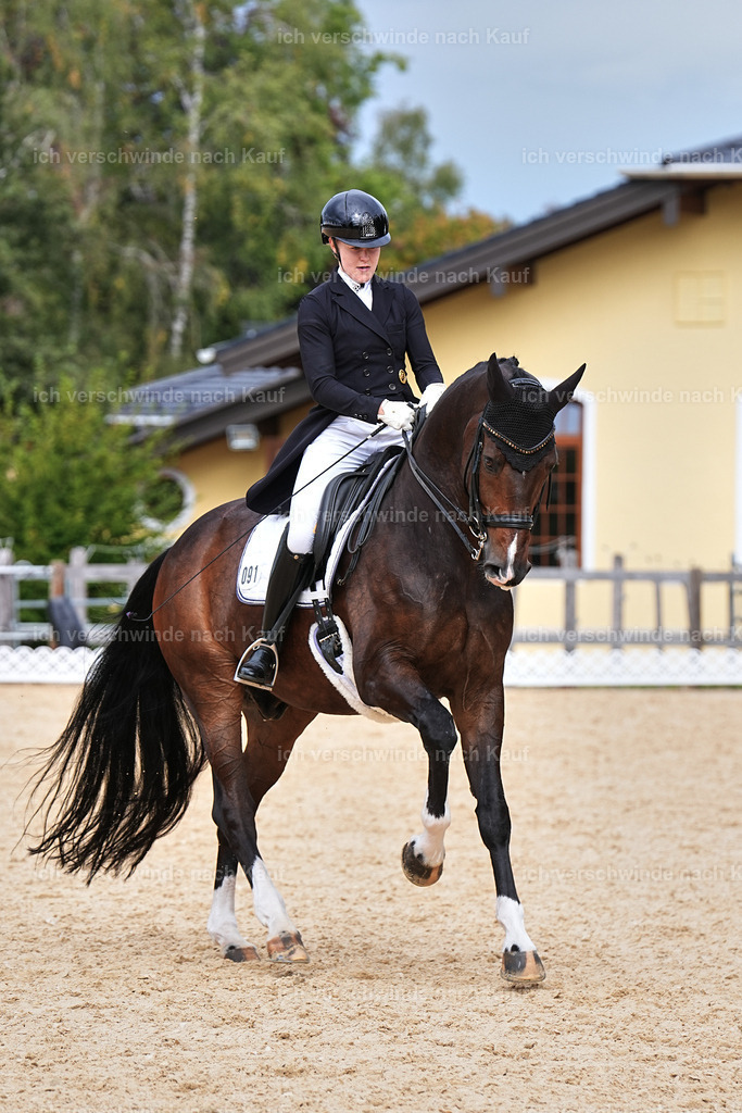 11-091-Dressur S___-Marixx-1637 | working equitationturnier fotograf videograf stoibphotography marixx film working equitation deutschland reitsport turnierfotografie eventfotografie equestrian events