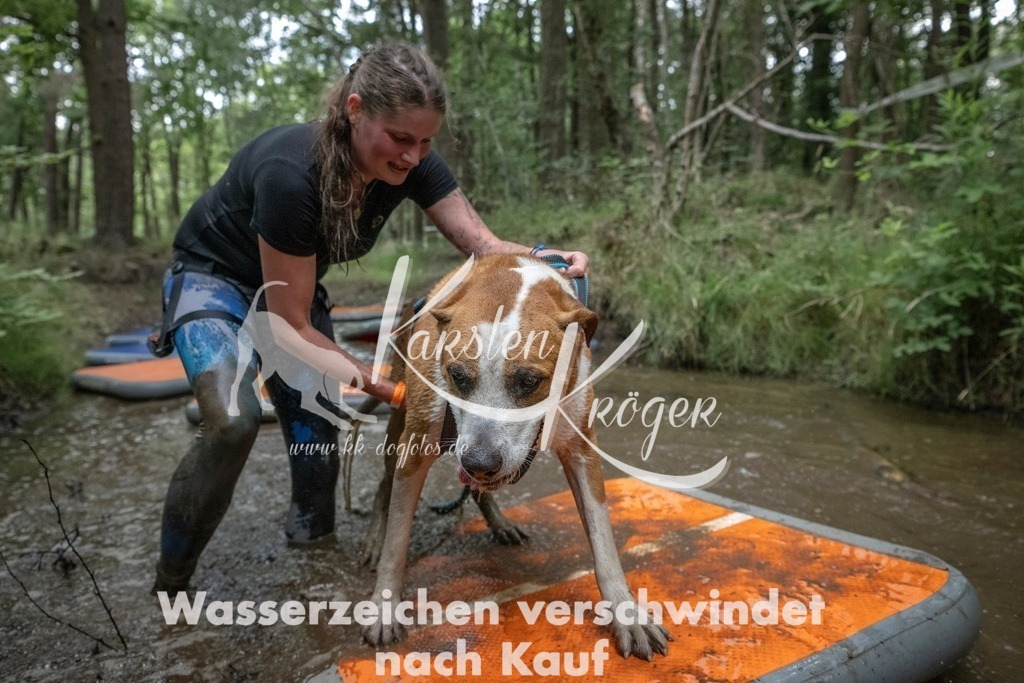 0847_ZZ99711T | kk-dogfotos