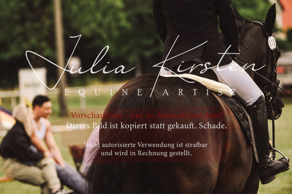 DSC_5055 | Pferde- und Turnierfotografie in Westsachsen. Pferdeportraits, Auftragszeichnungen und intuitive Kunst.