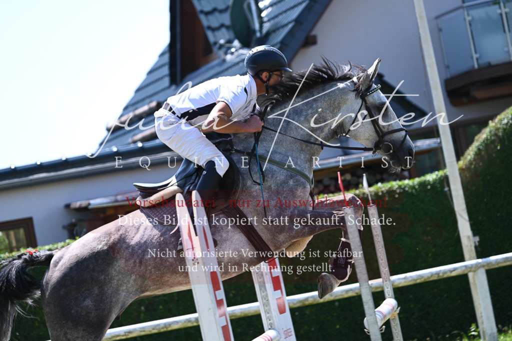 DSC_0648 | Pferde- und Turnierfotografie in Westsachsen. Pferdeportraits, Auftragszeichnungen und intuitive Kunst.