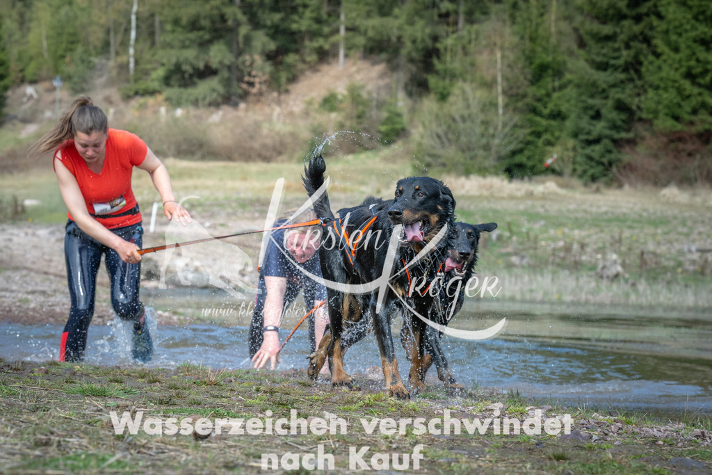 1114_ZZ93442 | kk-dogfotos