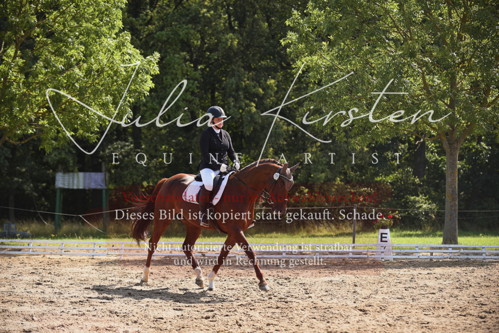 DSC_0515 | Pferde- und Turnierfotografie in Westsachsen. Pferdeportraits, Auftragszeichnungen und intuitive Kunst.