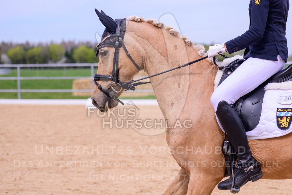 09042026-Mammendorf-Prfg07-0422 | Fokus Hufschlag Fotografie - Realisiert mit Pictrs.com