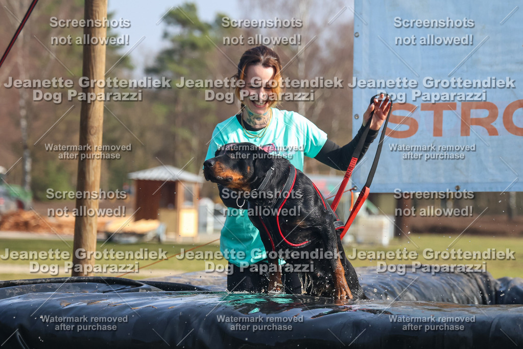 Dog Paparazzi - Strongdog North Mrz26-1847 | Dog Paparazzi Jeanette Grottendiek Fotografie & Videografie - Realisiert mit Pictrs.com