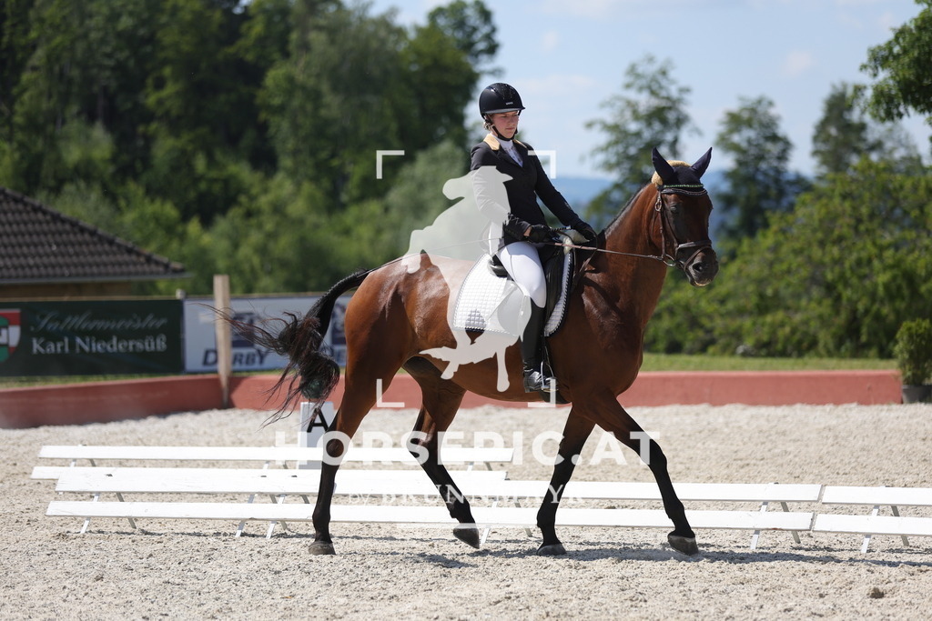 0P6A7046 | Willkommen bei Brunnmayr - Design & Fotografie – Ihrem Spezialisten für Reitturniere und Pferdeveranstaltungen in Oberösterreich, Salzburg und Bayern! Seit über 17 Jahren sind wir leidenschaftlich dabei.