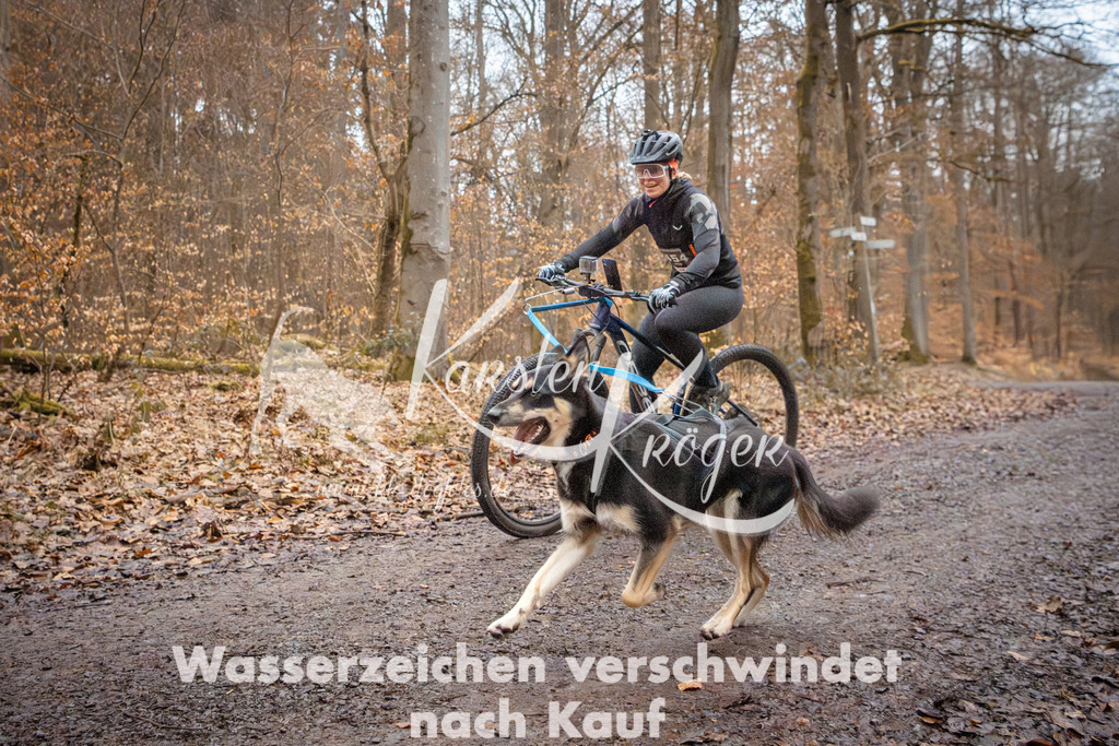 0816_ZZ94444 | kk-dogfotos