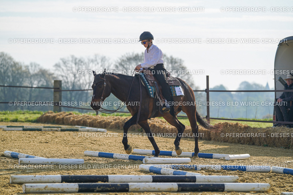 DSC00790 | Pferdegrafie