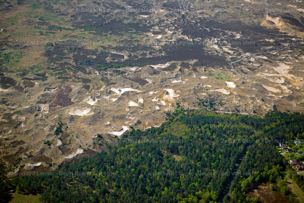 3801839 | Dünen bei Norddorf, Amrum