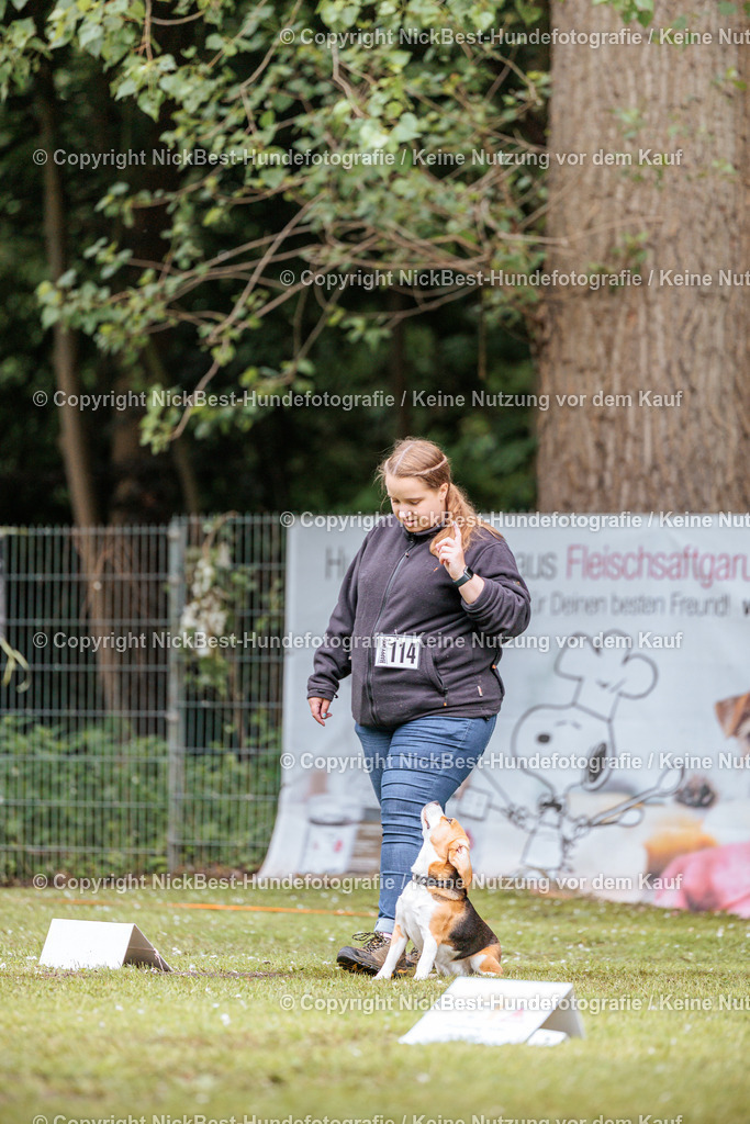 RO-Blumenthal-2026-Nickbest-Hundefotografie-1417 | Dein Hund! Dein Moment! Deine Erinnerungen! Hundefotografie in Bremen Blumenthal. Ich fange die besonderen Momente deines Vierbeiners ein – ob Indoor mit Blitzanlage oder in der freien Natur. Sicher dir dein Moment und dein Termin für eure Erinnerungen.