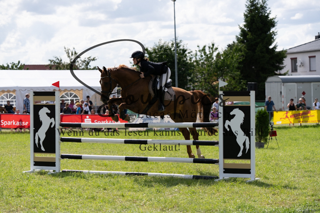 A7V04719 | Pferdefotograf