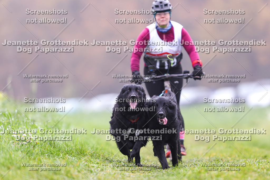 Dog Paparazzi - Visbeck 25 -112 | Dog Paparazzi Jeanette Grottendiek Fotografie & Videografie - Realisiert mit Pictrs.com